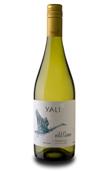 Picture of YALI WILD SWAN CHARD. 12X75CL